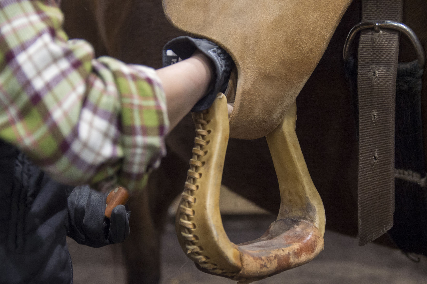 Penn State Horse Training Class, Stirrup
